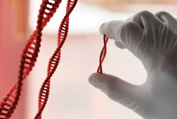 Анализ ДНК помог открыть преступление 2016 года в Астане