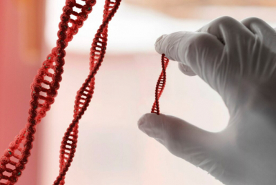 Анализ ДНК помог открыть преступление 2016 года в Астане