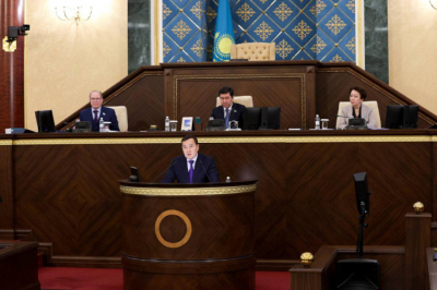 Искажения на 132 миллиардов тенге: ВАП указала на перекосы в мерах господдержки бизнеса