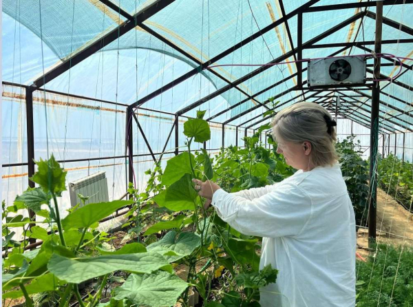 Земельные приоритеты нефтяной области