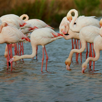 5 красивых, но малоизвестных мест в Казахстане